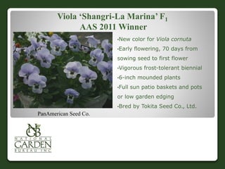Viola ‘Shangri-La Marina’ F1
AAS 2011 Winner
•New color for Viola cornuta
•Early flowering, 70 days from
sowing seed to first flower
•Vigorous frost-tolerant biennial
•6-inch mounded plants
•Full sun patio baskets and pots
or low garden edging
•Bred by Tokita Seed Co., Ltd.
PanAmerican Seed Co.
 