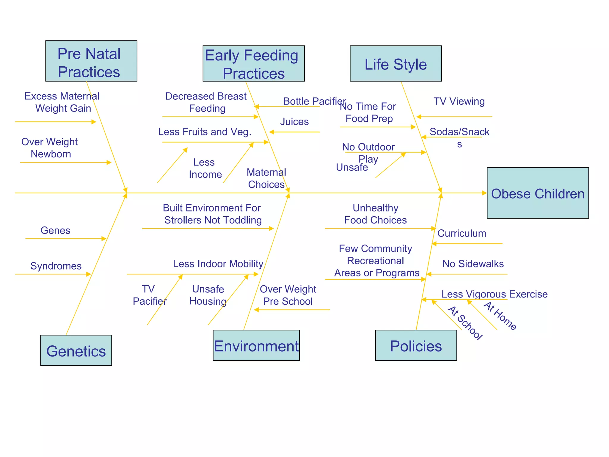 Obese Children Life Style Policies Environment TV Viewing No Time For Food Prep No Outdoor Play Unsafe Juices Bottle Pacifier Less Fruits and Veg. Less  Income Maternal Choices Less Vigorous Exercise Curriculum No Sidewalks Unhealthy Food Choices Few Community Recreational Areas or Programs Built Environment For  Strollers Not Toddling Less Indoor Mobility TV  Pacifier Unsafe Housing Sodas/Snacks Decreased Breast Feeding Early Feeding  Practices Genetics Syndromes Genes Pre Natal Practices Excess Maternal  Weight Gain Over Weight  Newborn Over Weight Pre School At School At Home 