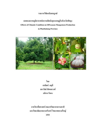 F
F
Effects of Climatic Condition on Off-season Mangosteen Production
in Phatthalung Province
F
F F
F
F F
2553
 