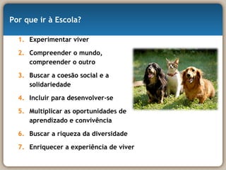 Por que ir à Escola? Experimentar viver Compreender o mundo, compreender o outro Buscar a coesão social e a solidariedade Incluir para desenvolver-se Multiplicar as oportunidades de aprendizado e convivência Buscar a riqueza da diversidade Enriquecer a experiência de viver  
