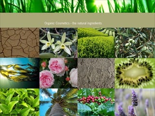 Organic Cosmetics - the natural ingredients




Analysis of the cosmetic industry and luxury codes.
 