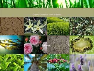 Organic Cosmetics - back to basics




Analysis of the cosmetic industry and luxury codes.




                                              Let’s begin...
 