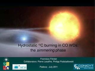 Francisco Förster Collaborators: Pierre Lesaffre, Philipp Podsiadlowski Padova - July 2011 Hydrostatic  12 C burning in CO WDs: the  simmering  phase 