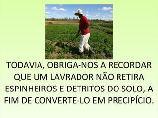 TODAVIA, OBRIGA-NOS A RECORDAR QUE UM LAVRADOR NÃO RETIRA ESPINHEIROS E DETRITOS DO SOLO, A FIM DE CONVERTE-LO EM PRECIPÍCIO. 