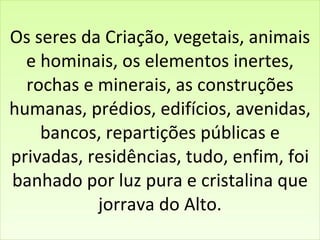 Os seres da Criação, vegetais, animais e hominais, os elementos inertes, rochas e minerais, as construções humanas, prédios, edifícios, avenidas, bancos, repartições públicas e privadas, residências, tudo, enfim, foi banhado por luz pura e cristalina que jorrava do Alto. 