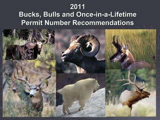 2011 Bucks, Bulls and Once-in-a-Lifetime Permit Number Recommendations, May 4