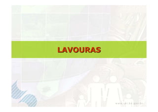 LAVOURAS
 