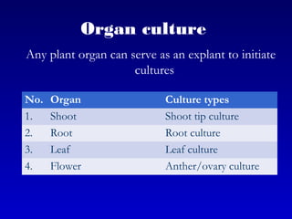 Organ culture
Any plant organ can serve as an explant to initiate
cultures
No. Organ Culture types
1. Shoot Shoot tip culture
2. Root Root culture
3. Leaf Leaf culture
4. Flower Anther/ovary culture
 