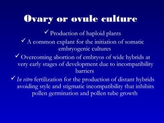 Ovary or ovule culture
Production of haploid plants
A common explant for the initiation of somatic
embryogenic cultures
Overcoming abortion of embryos of wide hybrids at
very early stages of development due to incompatibility
barriers
In vitro fertilization for the production of distant hybrids
avoiding style and stigmatic incompatibility that inhibits
pollen germination and pollen tube growth
 