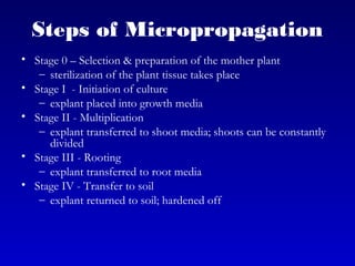 Steps of Micropropagation
• Stage 0 – Selection & preparation of the mother plant
– sterilization of the plant tissue takes place
• Stage I  - Initiation of culture
– explant placed into growth media
• Stage II - Multiplication
– explant transferred to shoot media; shoots can be constantly
divided
• Stage III - Rooting
– explant transferred to root media
• Stage IV - Transfer to soil
– explant returned to soil; hardened off
 