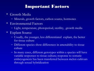 Important Factors
• Growth Media
– Minerals, growth factors, carbon source, hormones
• Environmental Factors
– Light, temperature, photoperiod, sterility, growth media
• Explant Source
– Usually, the younger, less differentiated explant, the better
for tissue culture
– Different species show differences in amenability to tissue
culture
– In many cases, different genotypes within a species will have
variable responses to tissue culture; response to somatic
embryogenesis has been transferred between melon cultivars
through sexual hybridization
 