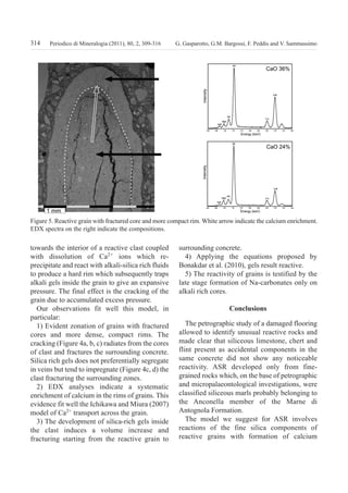 towards the interior of a reactive clast coupled
with dissolution of Ca2+
ions which re-
precipitate and react with alkali-silica rich fluids
to produce a hard rim which subsequently traps
alkali gels inside the grain to give an expansive
pressure. The final effect is the cracking of the
grain due to accumulated excess pressure.
Our observations fit well this model, in
particular:
1) Evident zonation of grains with fractured
cores and more dense, compact rims. The
cracking (Figure 4a, b, c) radiates from the cores
of clast and fractures the surrounding concrete.
Silica rich gels does not preferentially segregate
in veins but tend to impregnate (Figure 4c, d) the
clast fracturing the surrounding zones.
2) EDX analyses indicate a systematic
enrichment of calcium in the rims of grains. This
evidence fit well the Ichikawa and Miura (2007)
model of Ca2+
transport across the grain.
3) The development of silica-rich gels inside
the clast induces a volume increase and
fracturing starting from the reactive grain to
surrounding concrete.
4) Applying the equations proposed by
Bonakdar et al. (2010), gels result reactive.
5) The reactivity of grains is testified by the
late stage formation of Na-carbonates only on
alkali rich cores.
conclusions
The petrographic study of a damaged flooring
allowed to identify unusual reactive rocks and
made clear that siliceous limestone, chert and
flint present as accidental components in the
same concrete did not show any noticeable
reactivity. ASR developed only from fine-
grained rocks which, on the base of petrographic
and micropalaeontological investigations, were
classified siliceous marls probably belonging to
the Anconella member of the Marne di
Antognola Formation.
The model we suggest for ASR involves
reactions of the fine silica components of
reactive grains with formation of calcium
314 G. Gasparotto, G.M. Bargossi, F. Peddis and V. SammassimoPeriodico di Mineralogia (2011), 80, 2, 309-316
Figure 5. Reactive grain with fractured core and more compact rim. White arrow indicate the calcium enrichment.
EDX spectra on the right indicate the compositions.
GASPAROTTO:periodico 13/09/2011 10:54 Pagina 314
 