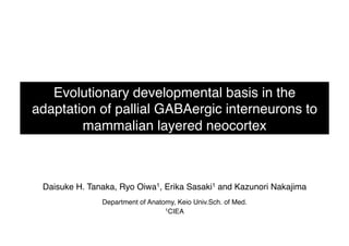 Evolutionary developmental basis in the
adaptation of pallial GABAergic interneurons to
mammalian layered neocortex!
Daisuke H. Tanaka, Ryo Oiwa1, Erika Sasaki1 and Kazunori Nakajima!
Department of Anatomy, Keio Univ.Sch. of Med.!
1CIEA!
 