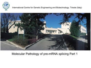 Molecular Pathology of pre-mRNA splicing Part 1  International Centre for Genetic Engineering and Biotechnology. Trieste (Italy) 