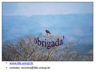 • www.ibb.unesp.br
• contato: recintra@ibb.unesp.br
 