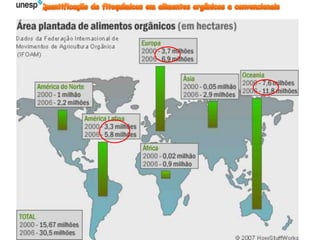Fonte: IBGE, Censo Agropecuário 2006.
 