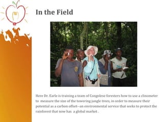 In the Field




Here Dr. Earle is training a team of Congolese foresters how to use a clinometer
to measure the size of the towering jungle trees, in order to measure their
potential as a carbon offset--an environmental service that seeks to protect the
rainforest that now has a global market .
 