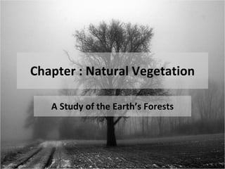 Chapter : Natural Vegetation A Study of the Earth’s Forests 