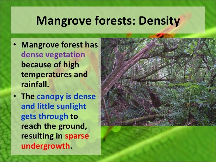 Types Of Natural Vegetation