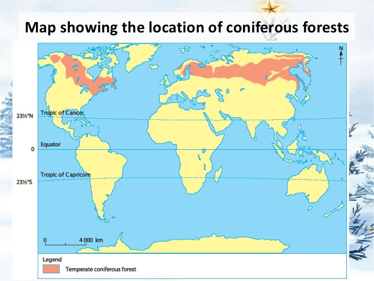 2011 sec 3 elective geography chapter 03 • types of natural vegetation