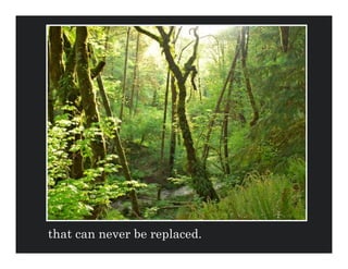 that can never be replaced.
 