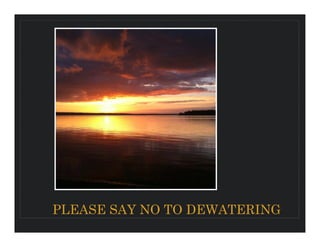 PLEASE SAY NO TO DEWATERING
 