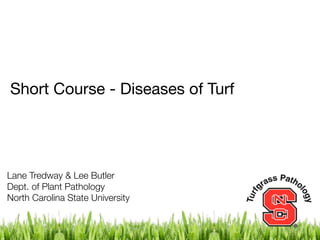 Short Course - Diseases of Turf




Lane Tredway & Lee Butler
Dept. of Plant Pathology
North Carolina State University
 