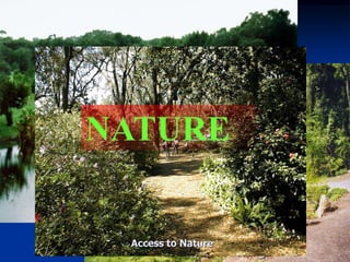 educationNeighborhood SchoolsLifelong LearningHigher Education