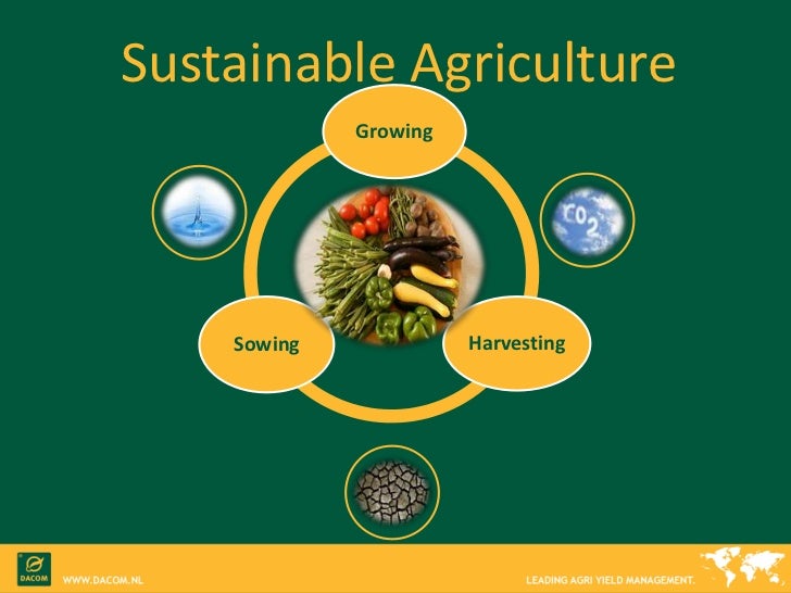 Center For Sustainable Agriculture And Natural Resources Center For Sustainable Agriculture And Natural Resources
