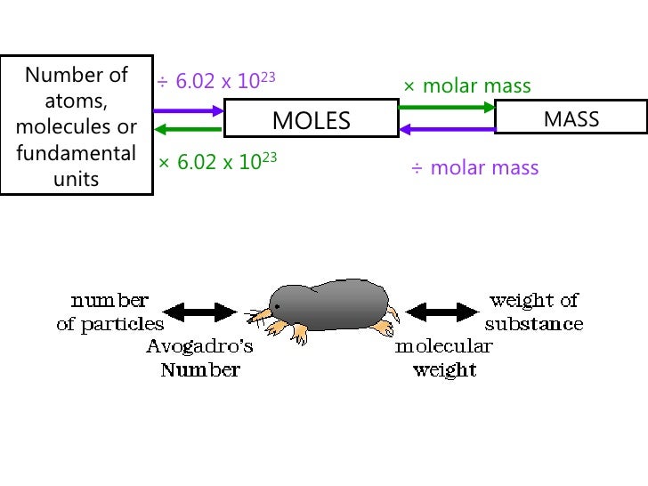 number atomic 68 2011 mole  topic lecture and 1 constant  avogadro's the 01