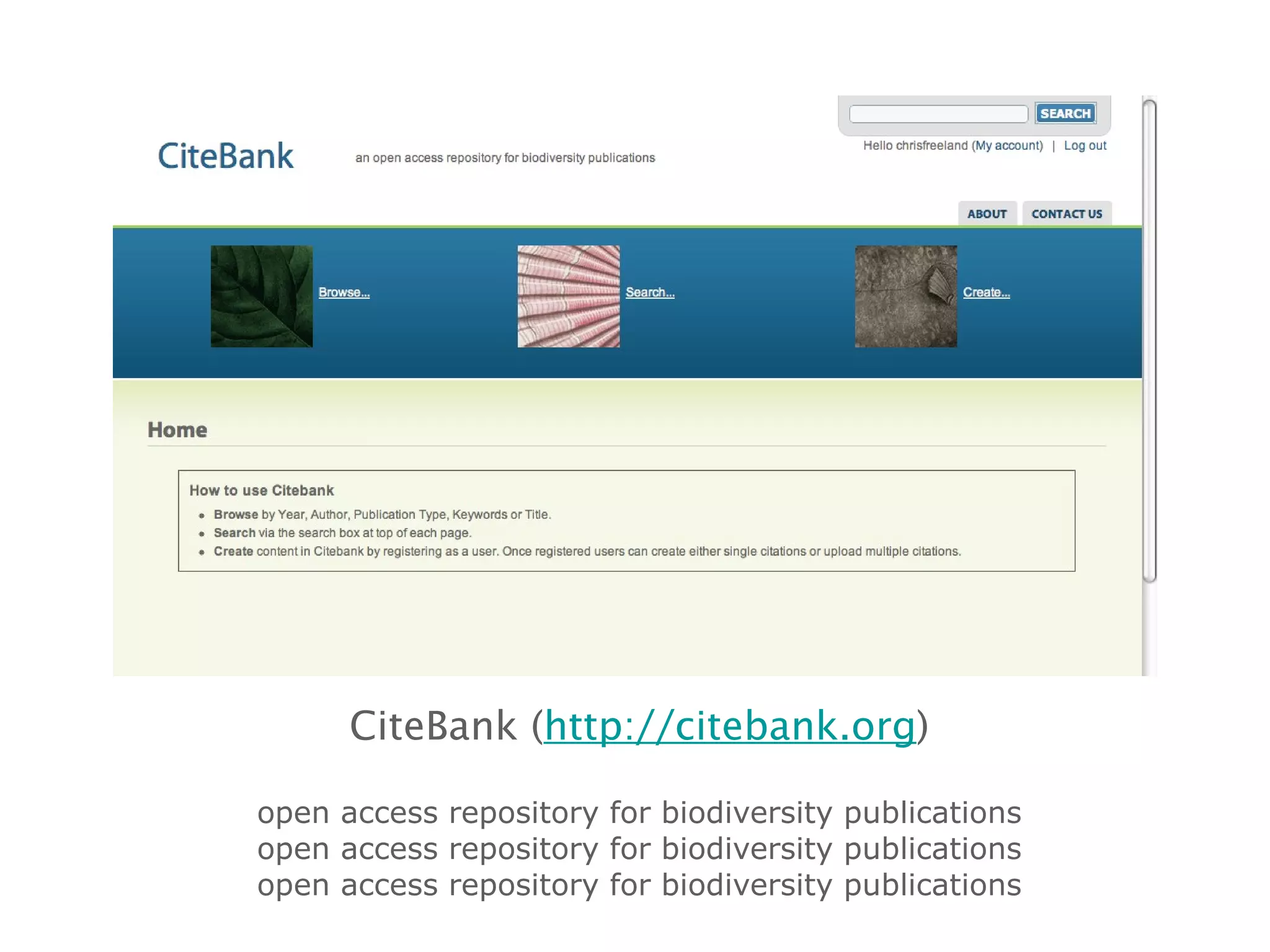 CiteBank ( http://citebank.org ) open access repository for biodiversity publications open access repository for biodiversity publications open access repository for biodiversity publications 