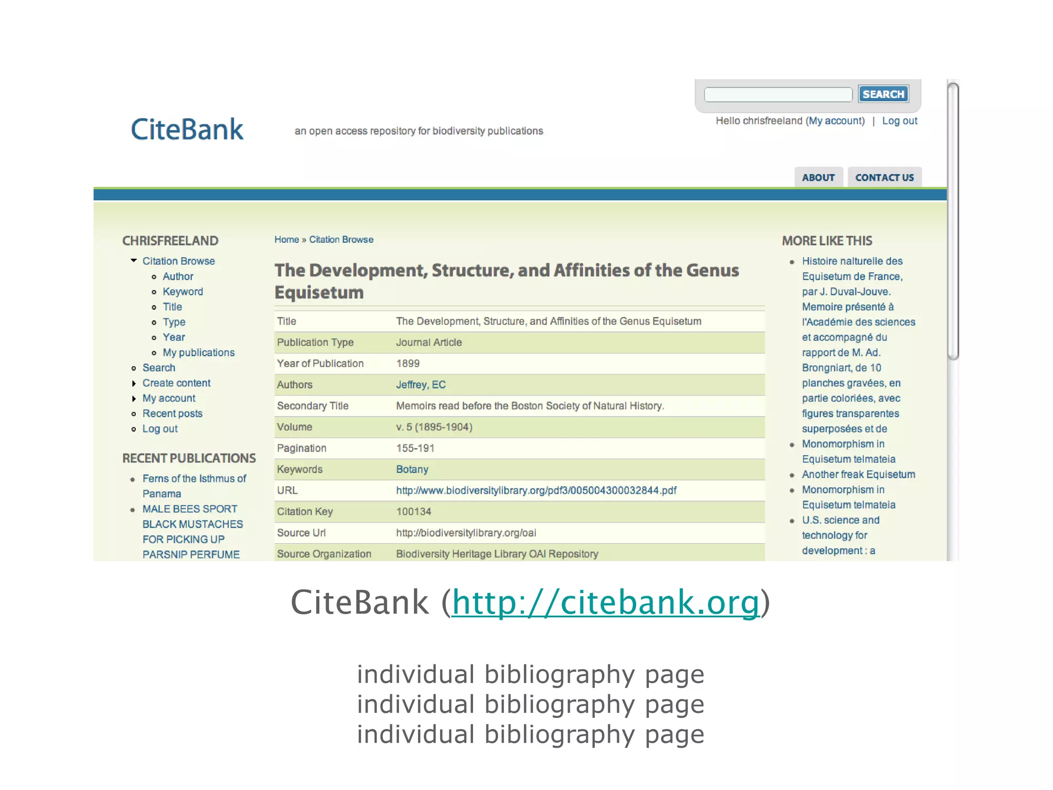 CiteBank ( http://citebank.org ) individual bibliography page individual bibliography page individual bibliography page 