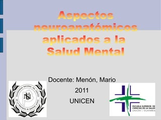 Docente: Menón, Mario
        2011
      UNICEN
 