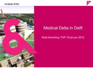 1




 Medical Delta in Delft

Roel Kamerling TOP 18 januari 2012
 