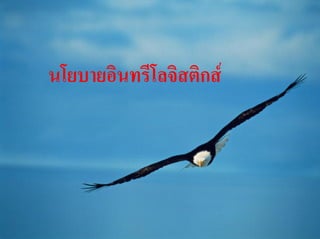 นโยบายอินทรีโลจิสติกส
 