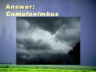 Answer:  Cumulonimbus 