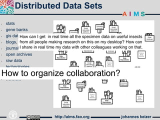 Distributed Data Sets
•   stats
•   gene banks
•   gis dataHow can I get in real time all the specimen data on useful insects
•   blogs, from all people making research on this on my desktop? How can
•   journals share in real time my data with other colleagues working on that.
            I
•   open archives
•   raw data
•   technologies
How to organize collaboration?
•   learning objects
•   ………..




                              http://aims.fao.org                 johannes keizer
 