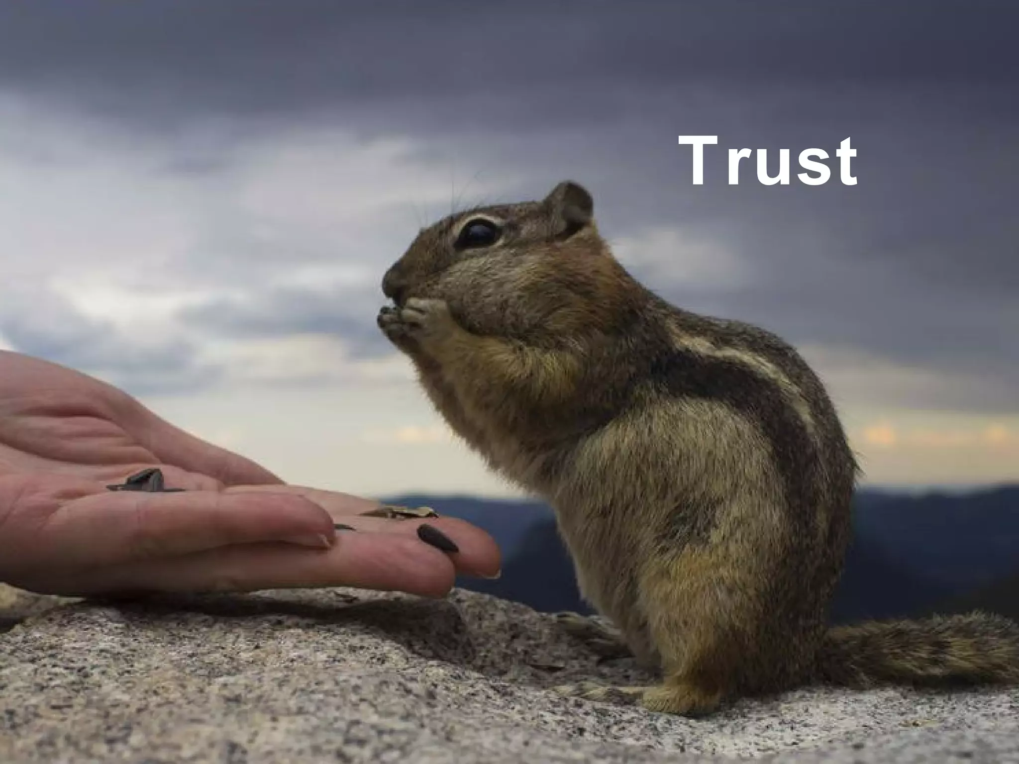Trust 