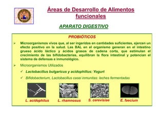 PROBIÓTICOS
 Microorganismos vivos que, al ser ingeridos en cantidades suficientes, ejercen un
efecto positivo en la salud. Las BAL en el organismo generan en el intestino
grueso ácido láctico y ácidos grasos de cadena corta, que estimulan el
crecimiento de las bifidobacterias, equilibran la flora intestinal y potencian el
sistema de defensas e inmunológico.
 Microorganismos Utilizados
 Lactobacillus bulgaricus y acidophillus: Yogurt
 Bifidobacterium, Lactobacillus casei inmunitas: leches fermentadas
L. acidophilus L. rhamnosus S. cerevisiae E. faecium
APARATO DIGESTIVO
Áreas de Desarrollo de Alimentos
funcionales
 