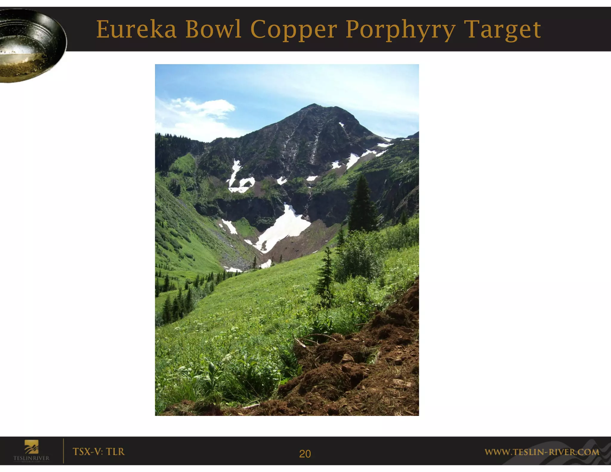 Eureka Bowl Copper Porphyry Target




               20
 