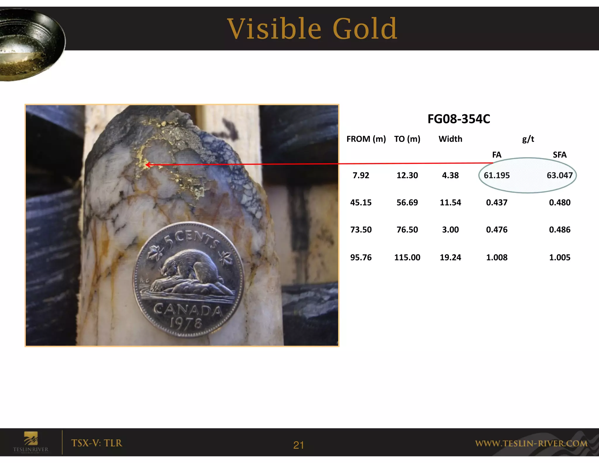 Visible Gold


                           FG08-354C
         FROM (m) TO (m)    Width            g/t
                                       FA           SFA

          7.92     12.30     4.38   61.195         63.047

         45.15     56.69    11.54   0.437          0.480

         73.50     76.50     3.00   0.476          0.486

         95.76    115.00    19.24   1.008          1.005




    21
 