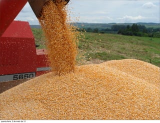 quarta-feira, 2 de maio de 12
 