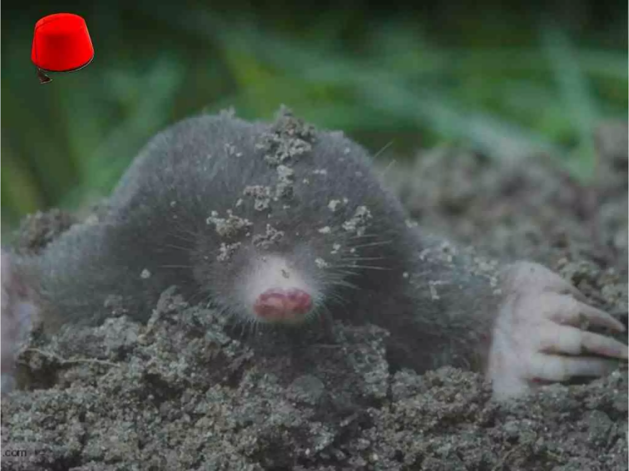 Version Control Done Right