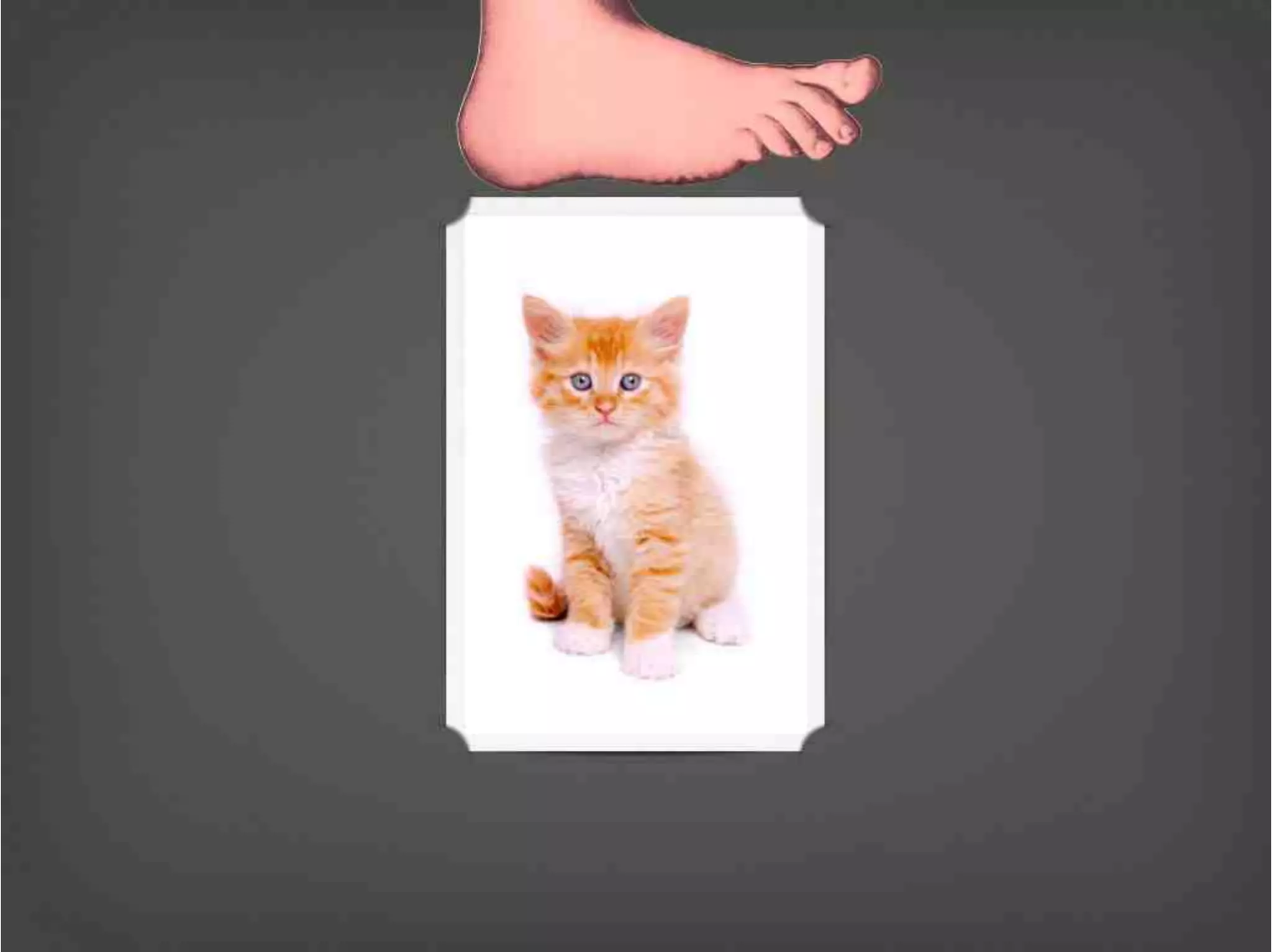 Version Control Done Right