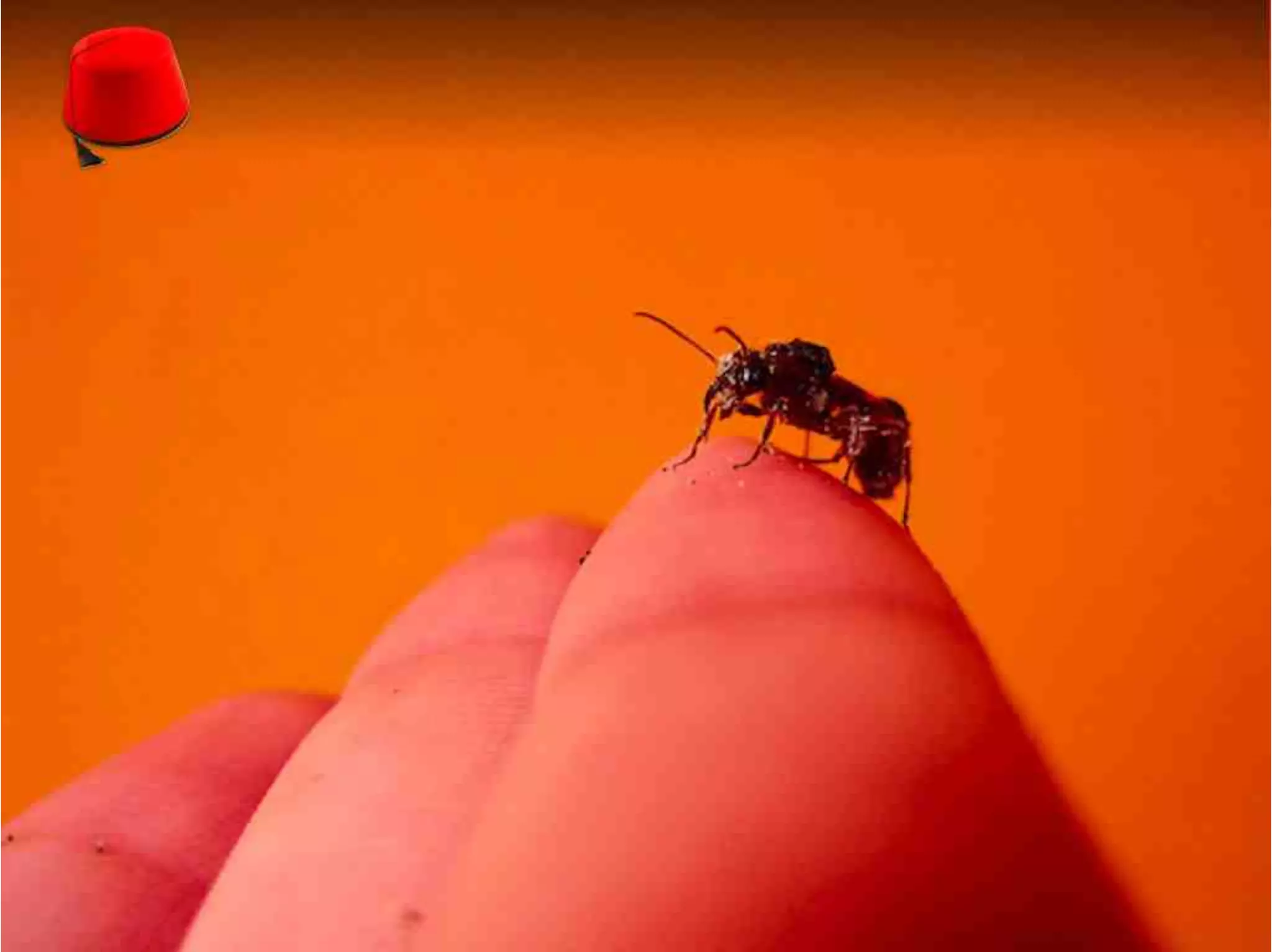 Version Control Done Right