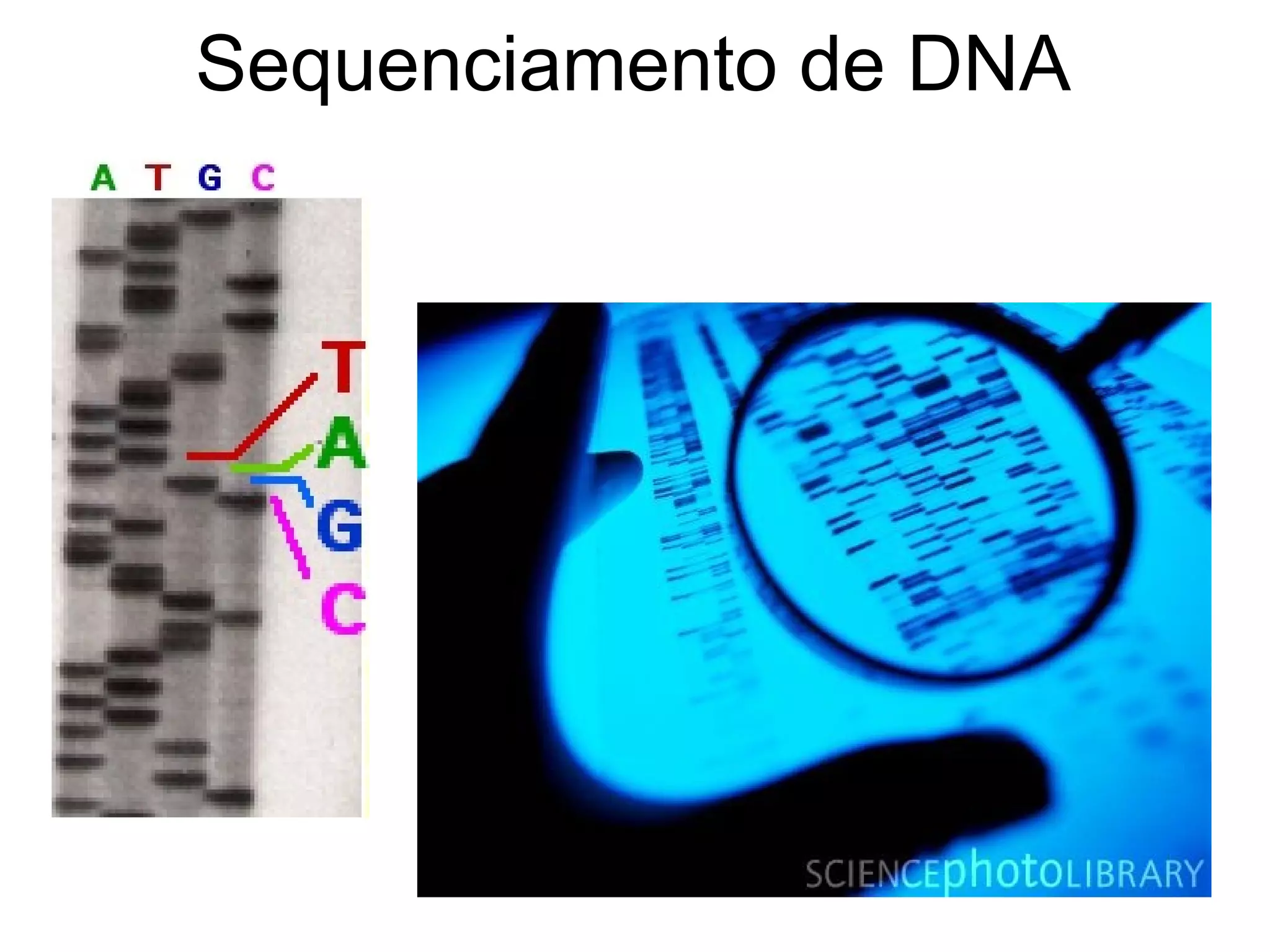 Sequenciamento de DNA
 