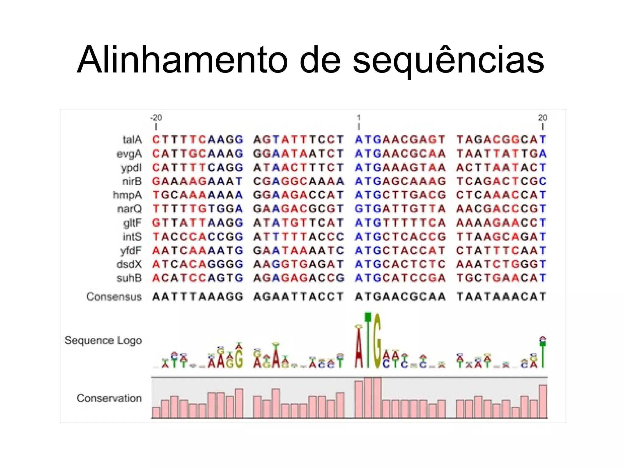 Alinhamento de sequências
 