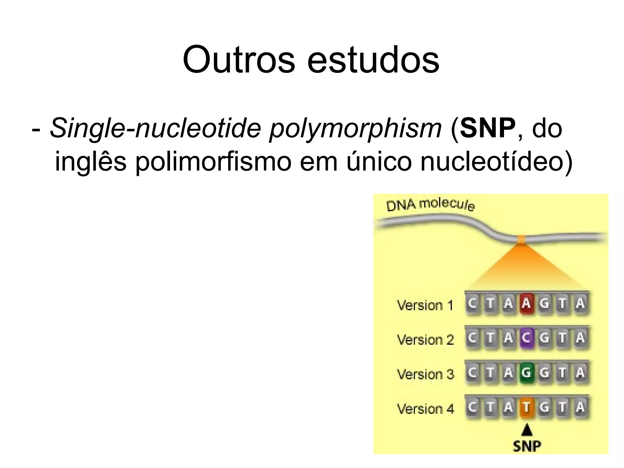Outros estudos
- Single-nucleotide polymorphism (SNP, do
  inglês polimorfismo em único nucleotídeo)
 