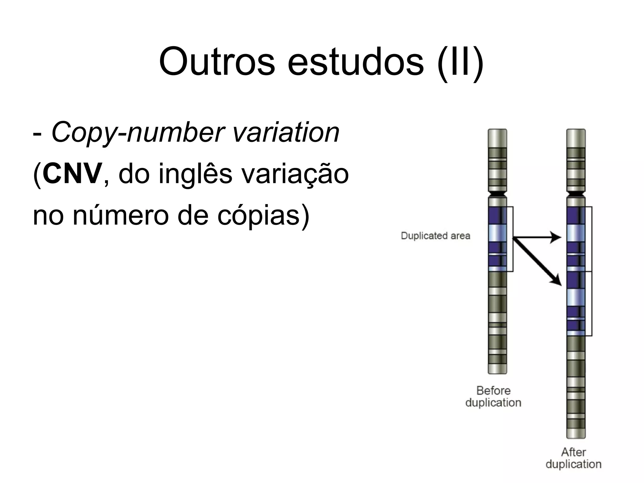 Outros estudos (II)
- Copy-number variation
(CNV, do inglês variação
no número de cópias)
 