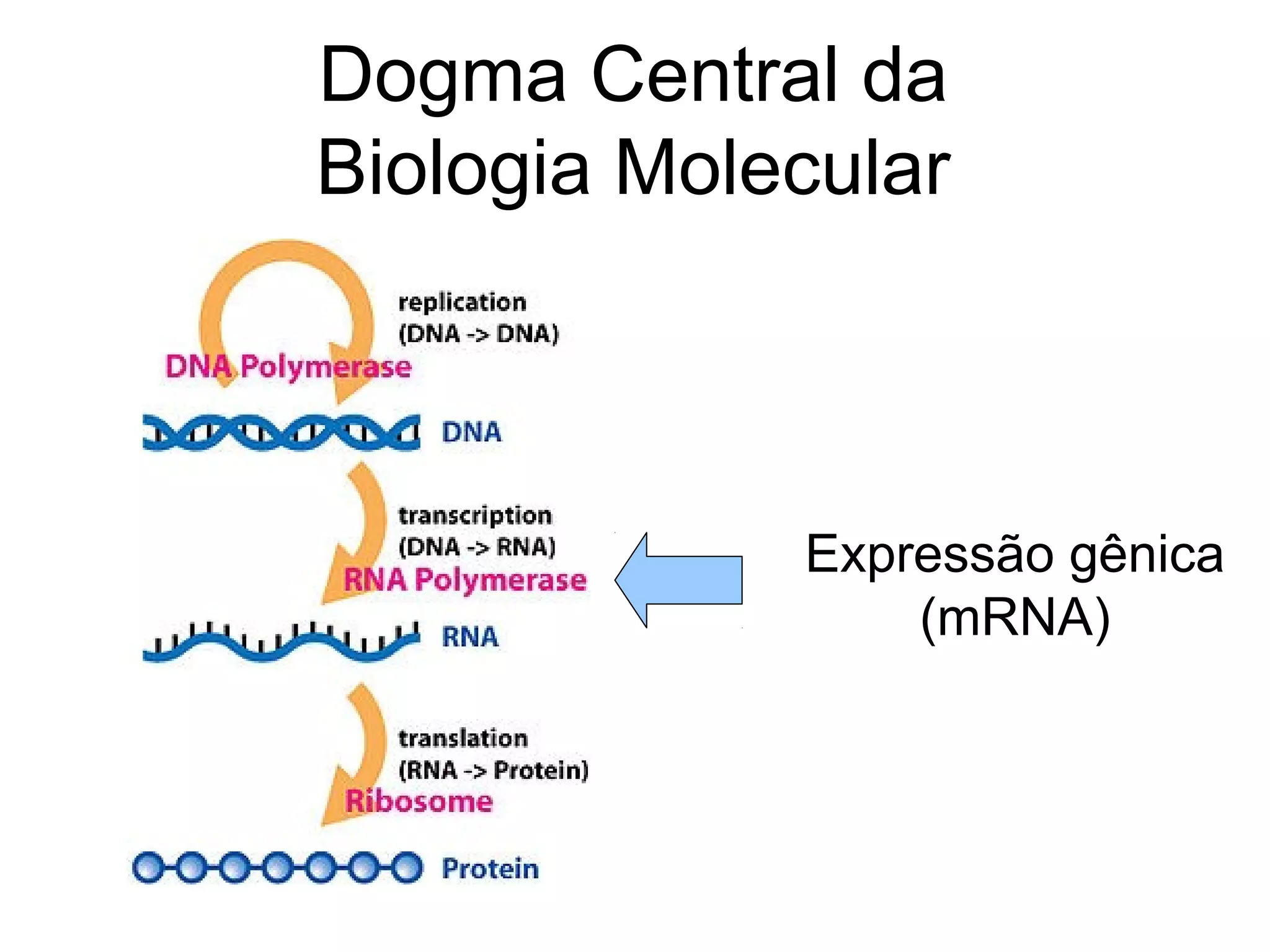 Dogma Central da
Biologia Molecular



             Expressão gênica
                 (mRNA)
 